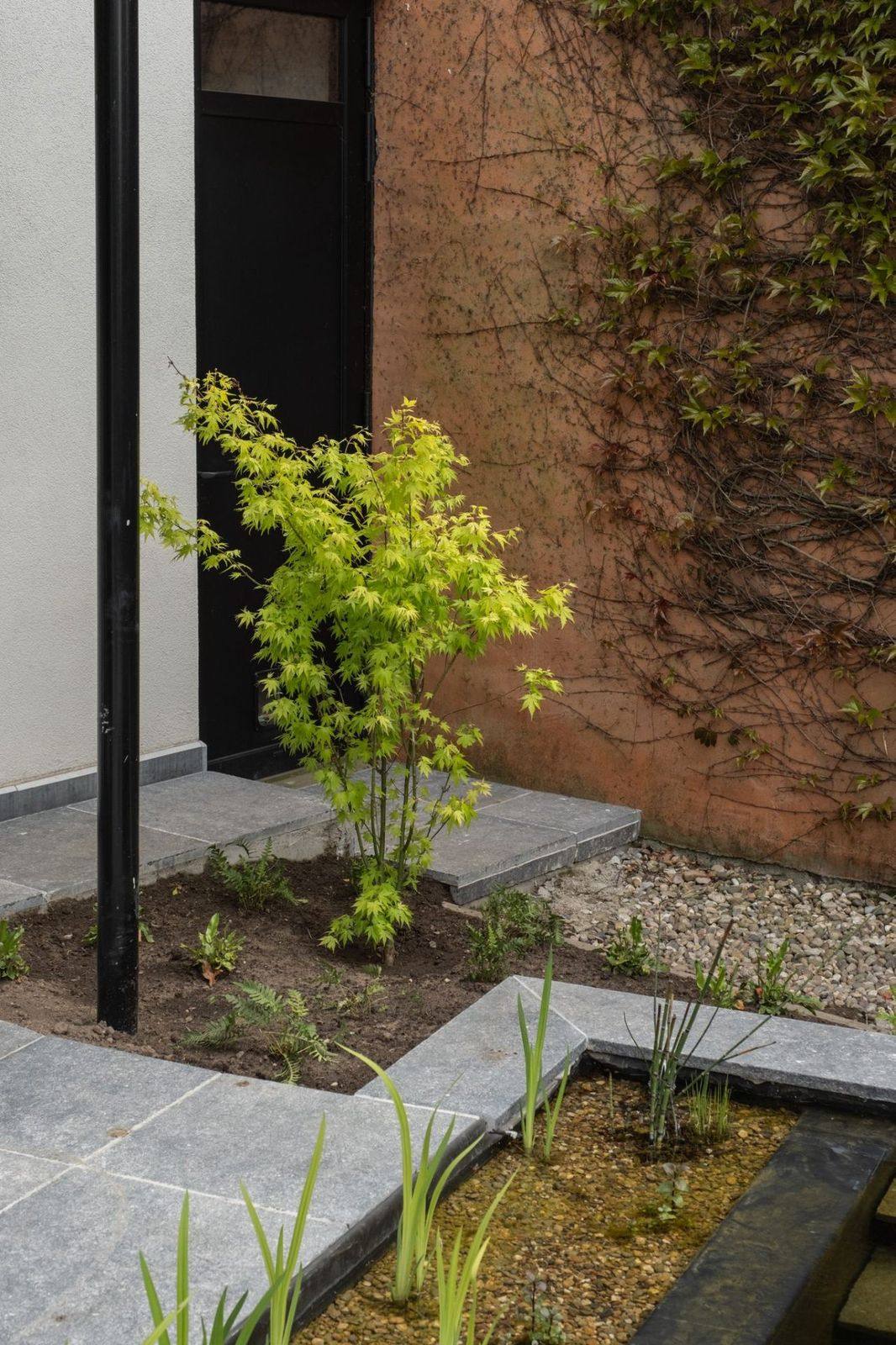 Japans tuinhoekje met esdoorn en waterloop Japans geïnspireerd tuinhoekje met Japanse esdoorn, kiezels en smalle waterloop