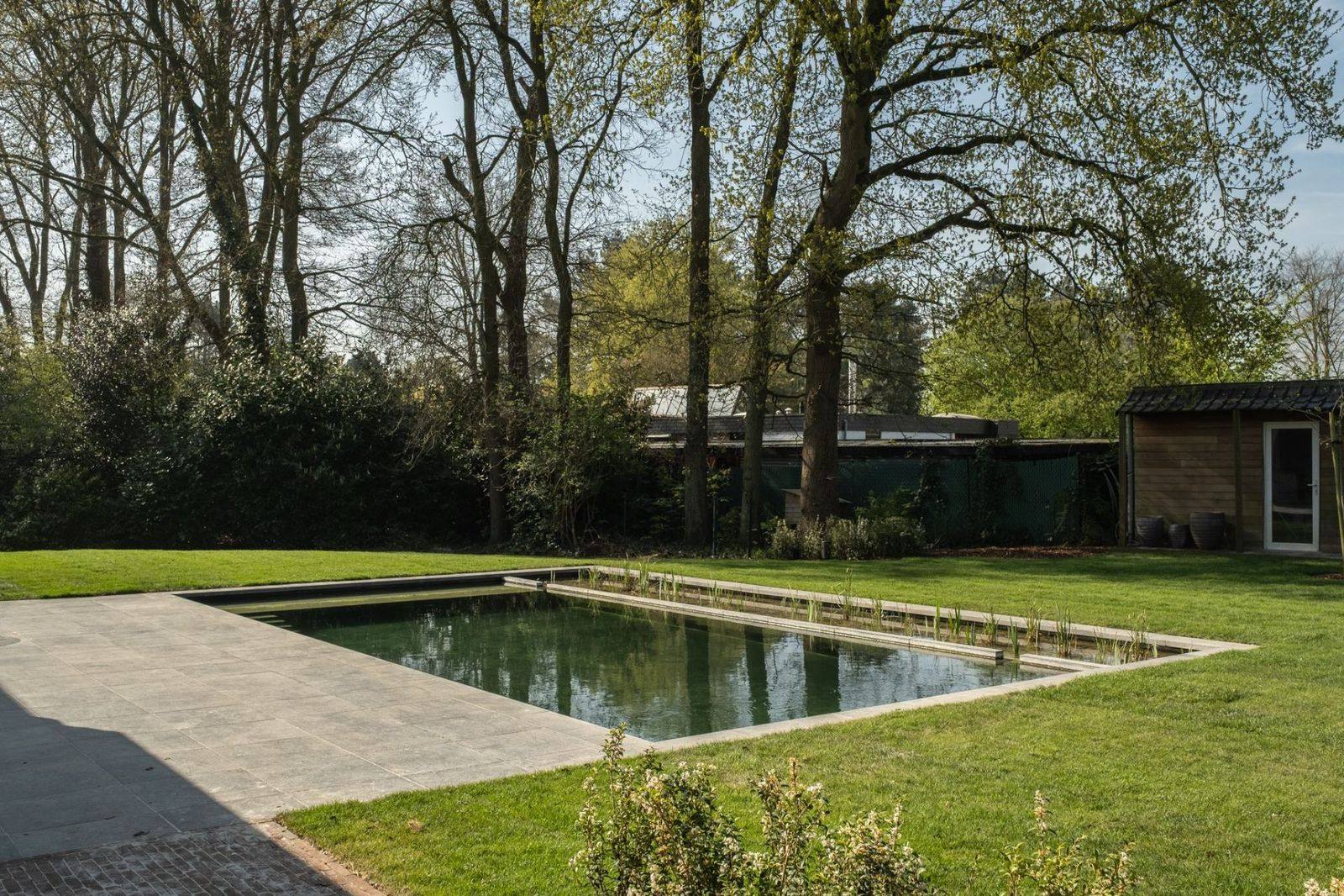 Zwemvijver Putte - referentieproject Vijvers Verelst